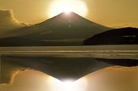 ワールドドライブ　新年　バッグ